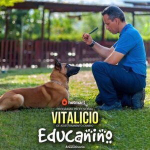 Educa a tu perro (Educanino)