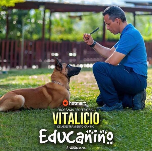 Educa a tu perro (Educanino)